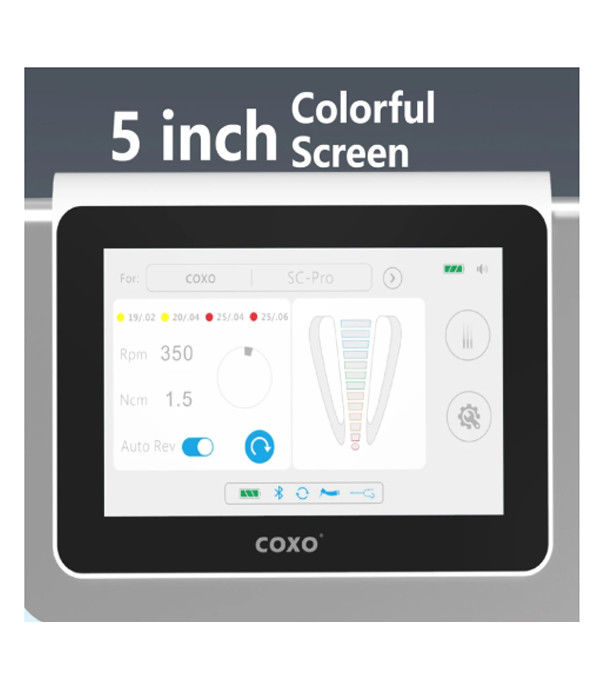 Dental C Master Coxos Dental Electric Motor with Endomotor All in One Brushless Electric Led Mikromotor Endodontics